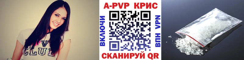 закладка  Зеленоградск  Alfa_PVP СК 