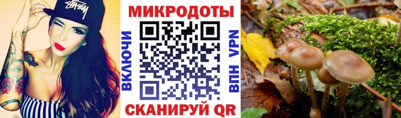 Псилоцибиновые грибы GOLDEN TEACHER Зеленоградск